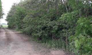 Photo N° 5
