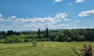 Photo N° 4