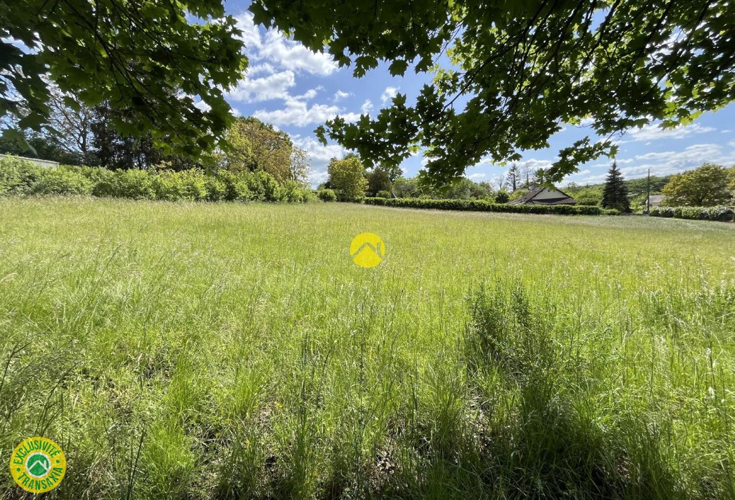 Terrain constructible 3 065m² — photo 1