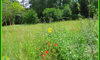 Maison 1 Pièce  m² à vendre à Neuvy-sur-Barangeon (18330)