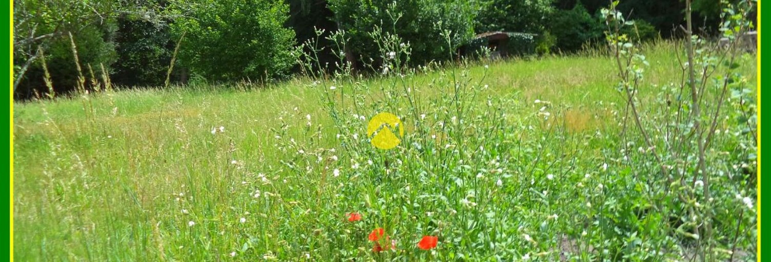 Maison 1 Pièce  m² à vendre à Neuvy-sur-Barangeon (18330)