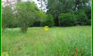 Photo N° 4