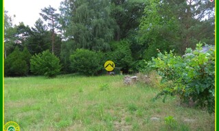 Photo N° 5