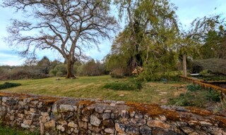 Photo N° 4