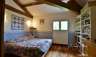 Photo N° 6