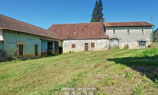 Photo N° 11