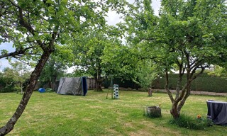 Photo N° 6