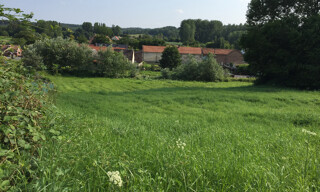 Photo N° 3