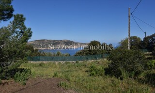Terrain  4170 m² à vendre à Calvi (20260)