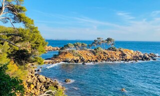 Appartement 1 Pièce 33 m² à vendre à Bandol (83150)