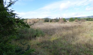 Photo N° 3