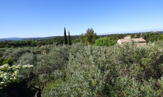 Terrain  1115 m² à vendre à Bédoin (84410)