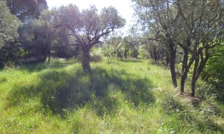 Photo N° 3