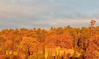 Photo N° 4