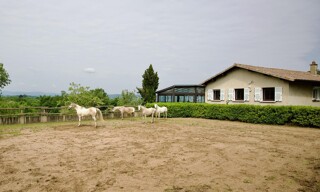 Photo N° 3