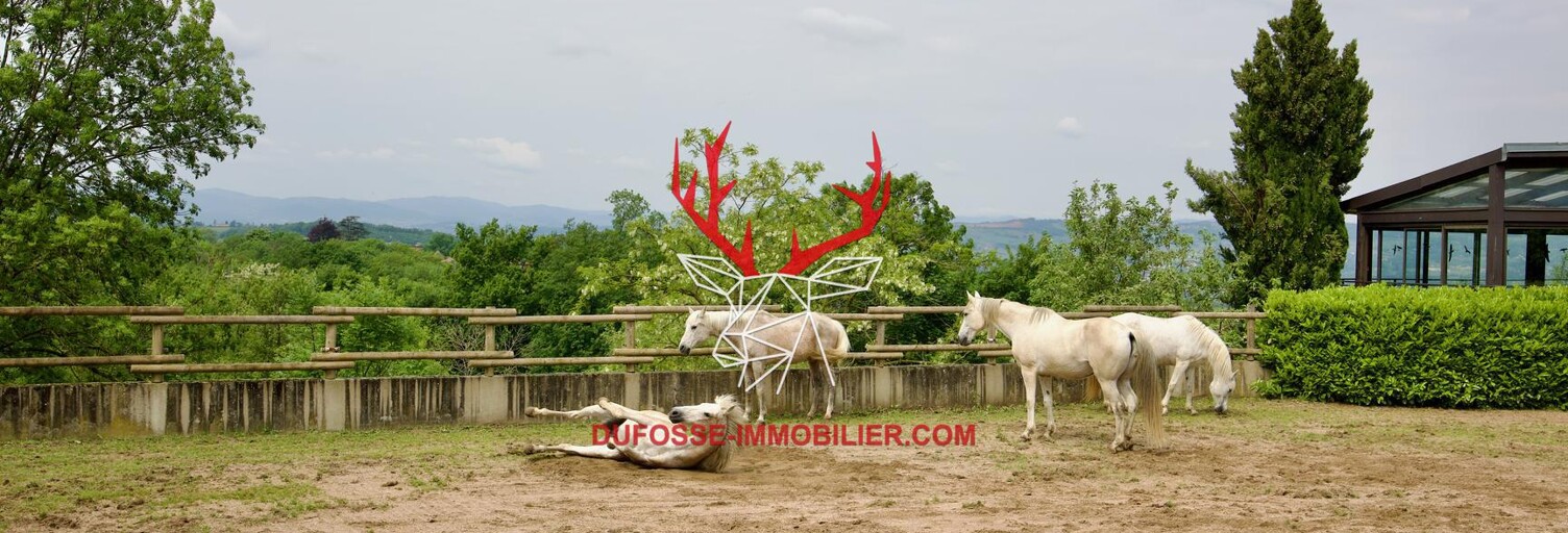 Maison 8 Pièces 177 m² à vendre à Chasselay (69380)