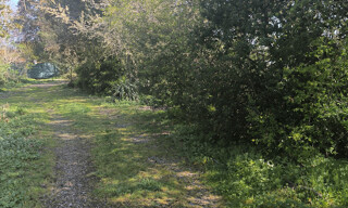 Photo N° 4