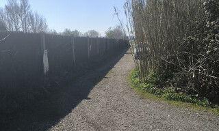 Photo N° 6