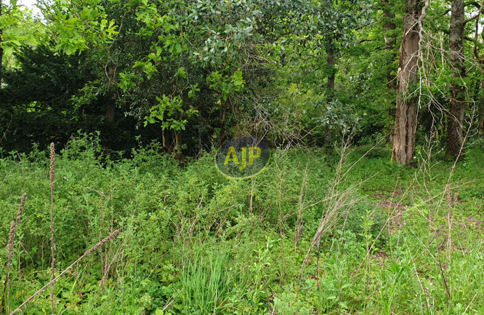 Terrain Saint Vivien De Medoc — photo 2