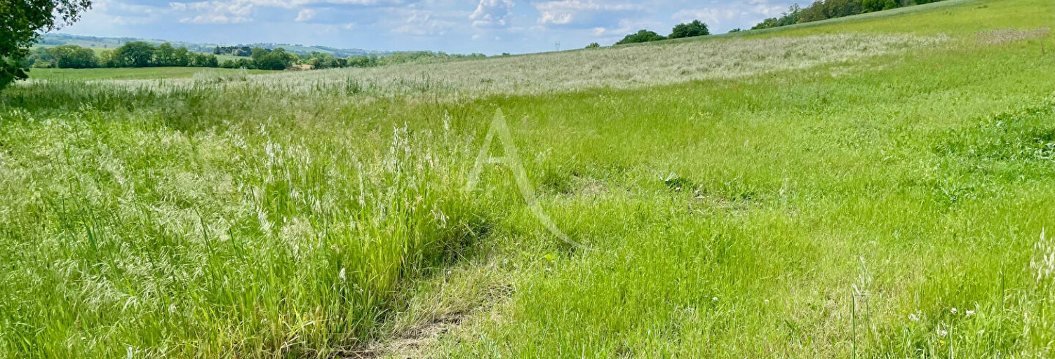 Terrain  4806 m² à vendre à Lévignac (31530)