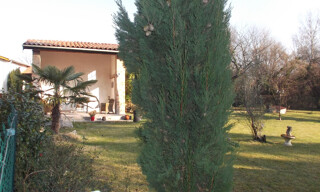 Photo N° 4