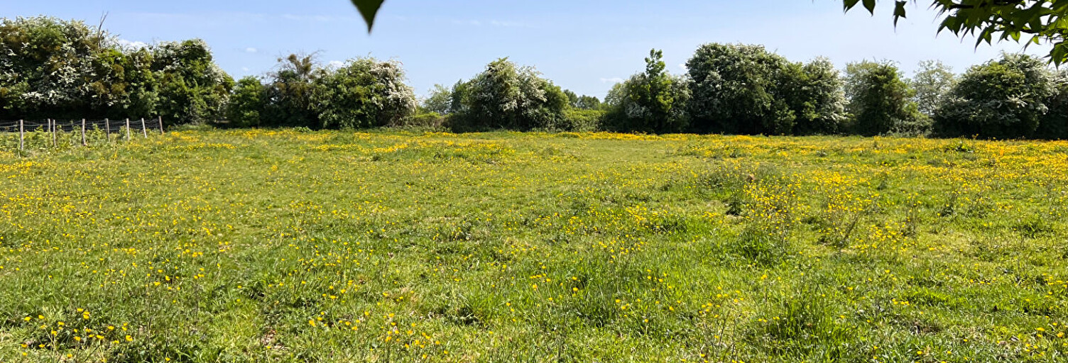 Terrain  700 m² à vendre à Isneauville (76230)