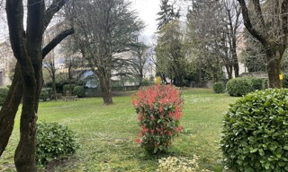 Photo N° 3