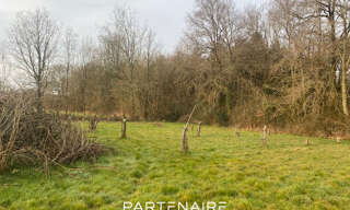 Photo N° 5