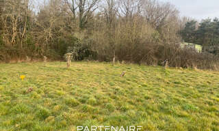 Photo N° 6