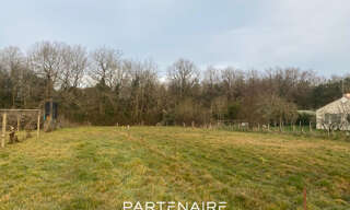 Photo N° 4