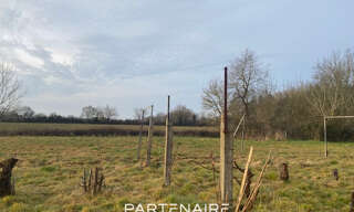 Photo N° 7