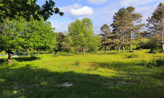 Terrain  19400 m² à vendre à Malviès (11300)