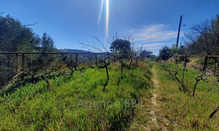 Terrain  7331 m² à vendre à Nice (06200)
