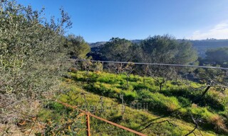 Terrain  15280 m² à vendre à Nice (06200)