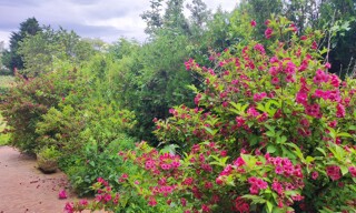 Photo N° 2