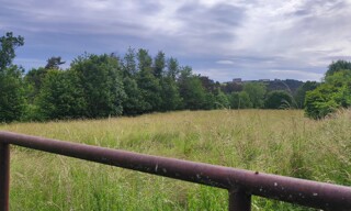 Photo N° 3