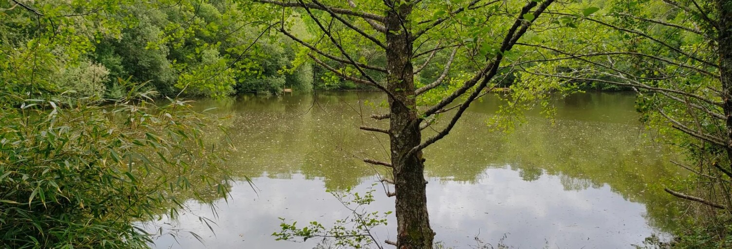 Terrain  14125 m² à vendre à Oradour-sur-Vayres (87150)