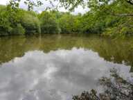 Terrain de loisirs avec étang et mare sur 1;4 hectares — photo 2