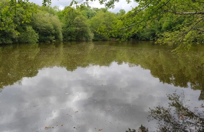 Terrain de loisirs avec étang et mare sur 1;4 hectares — photo 2