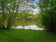 Terrain de loisirs avec étang et mare sur 1;4 hectares — photo 4