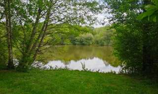 Terrain  14125 m² à vendre à Oradour-sur-Vayres (87150)