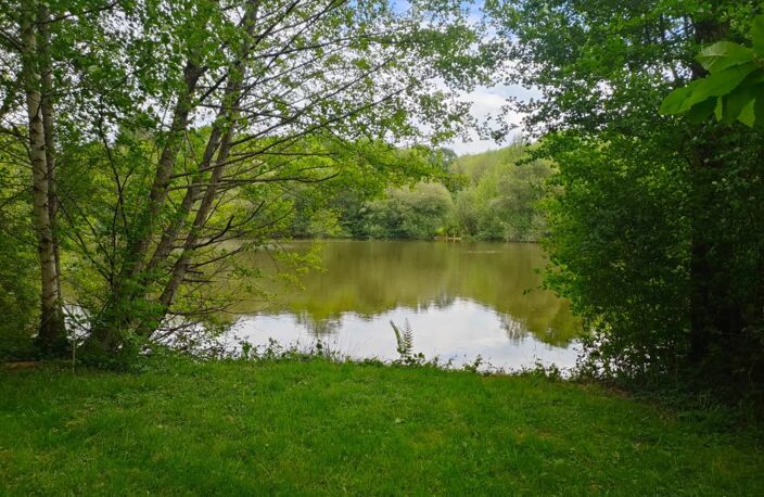 Terrain de loisirs avec étang et mare sur 1;4 hectares — photo 4