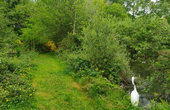 Terrain de loisirs avec étang et mare sur 1;4 hectares — photo 5