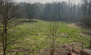 Photo N° 6