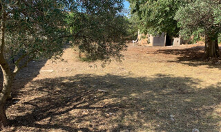 Photo N° 4