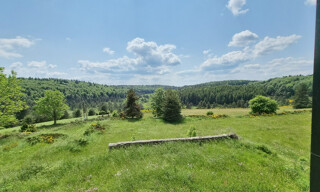 Photo N° 3