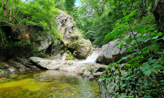 Photo N° 4