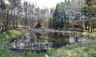 Photo N° 3