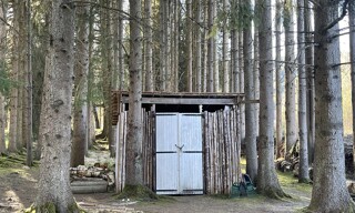 Photo N° 5