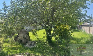 Photo N° 4